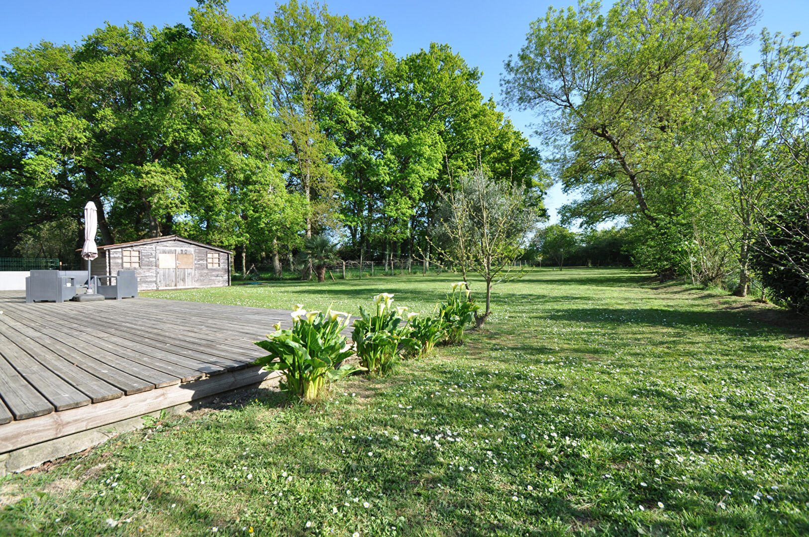 Photo MAISON 100M² EN PARFAIT ÉTAT image 3/6