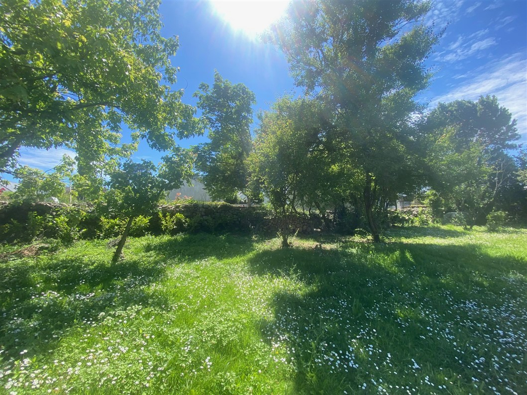Agence immobilière de LA COUPOLE IMMOBILIER