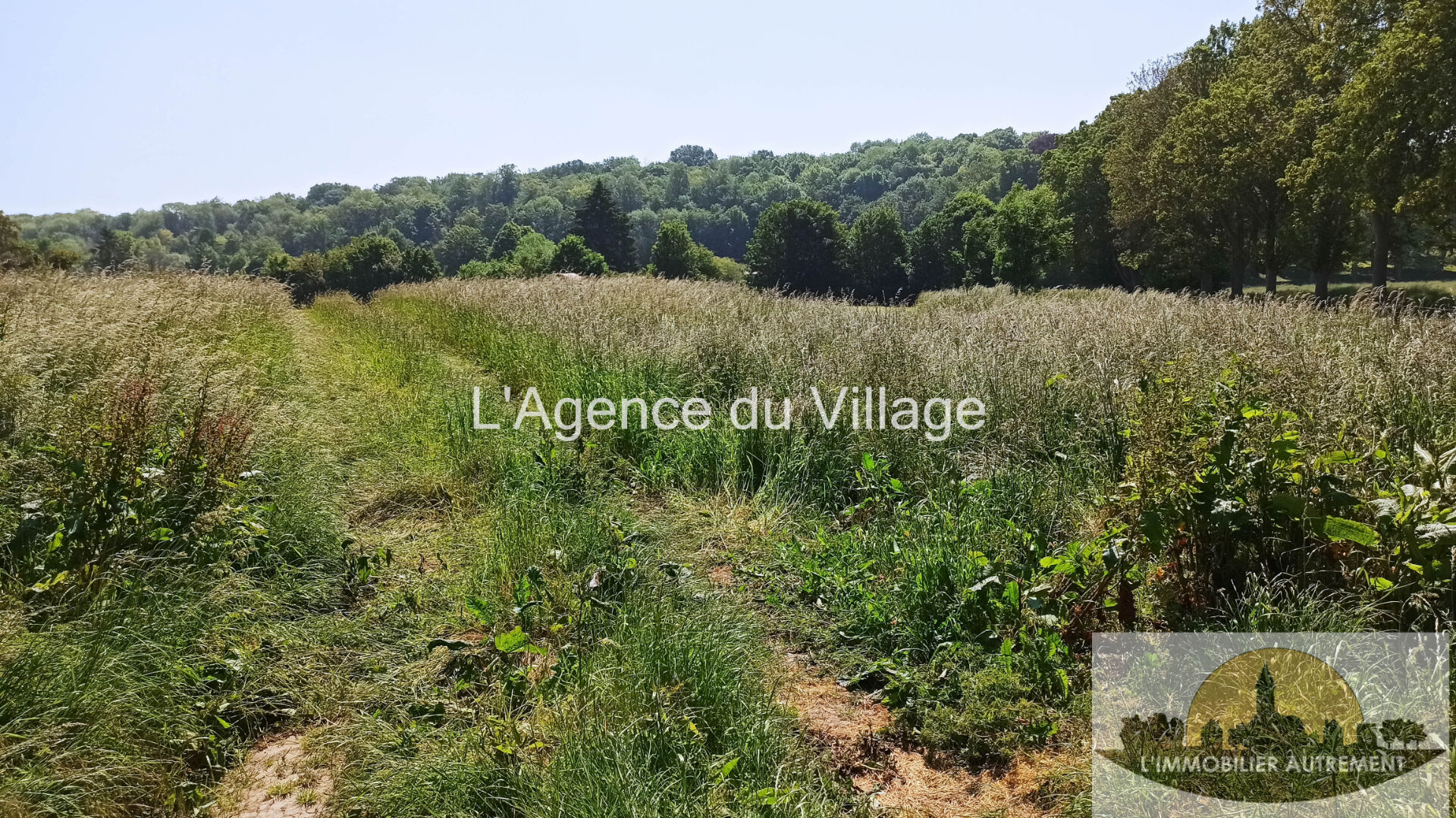 Photo Terrain Saint Crepin Ibouvillers 608 m2 image 2/6