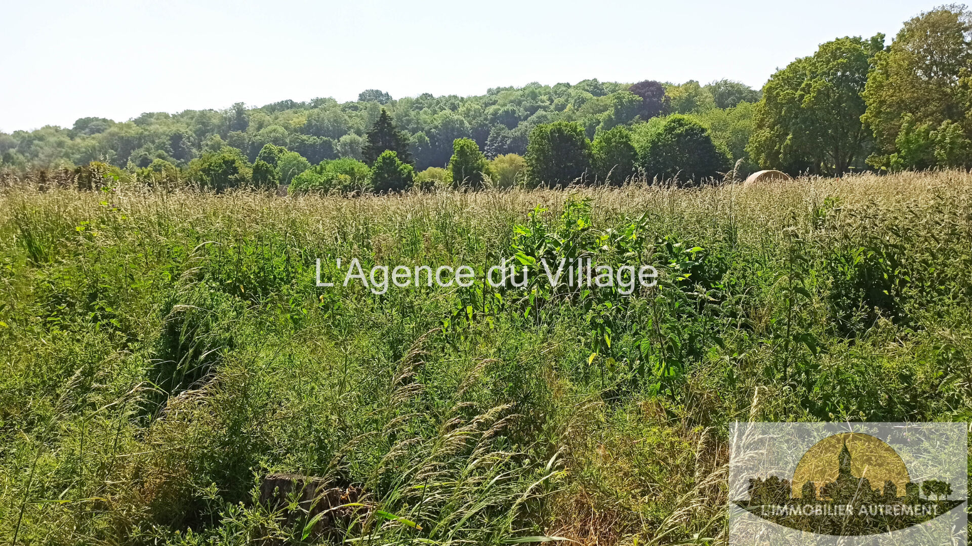 Photo Terrain Saint Crepin Ibouvillers 608 m2 image 4/6