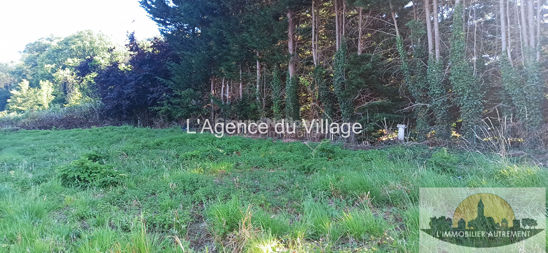 Photo Terrain Grisy Les Platres 1112 m2 image 3/6
