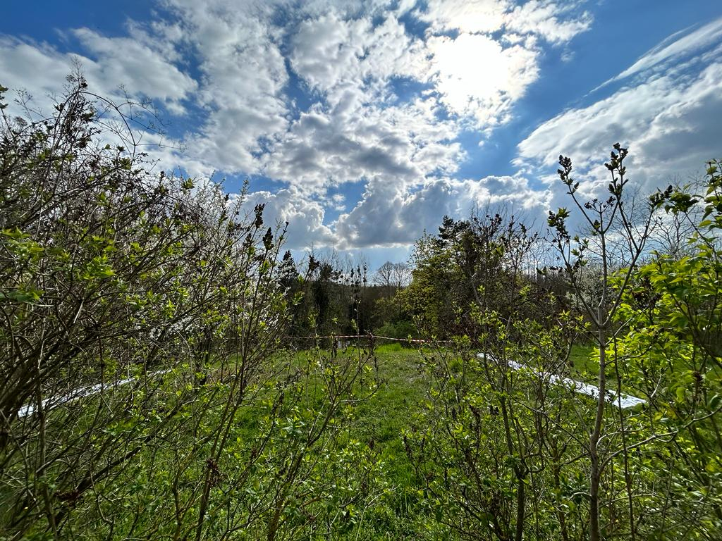 Agence immobilière de L'AGENCE IMMO Chantilly