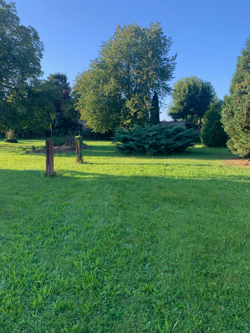 Terrain à bâtir - 500 m² - Wolfisheim