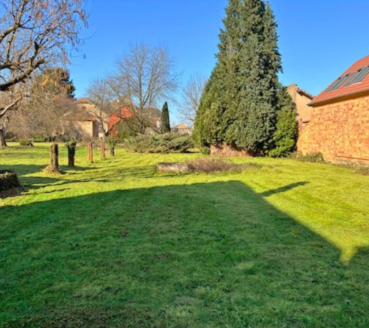 Terrain Wolfisheim - 517 m2