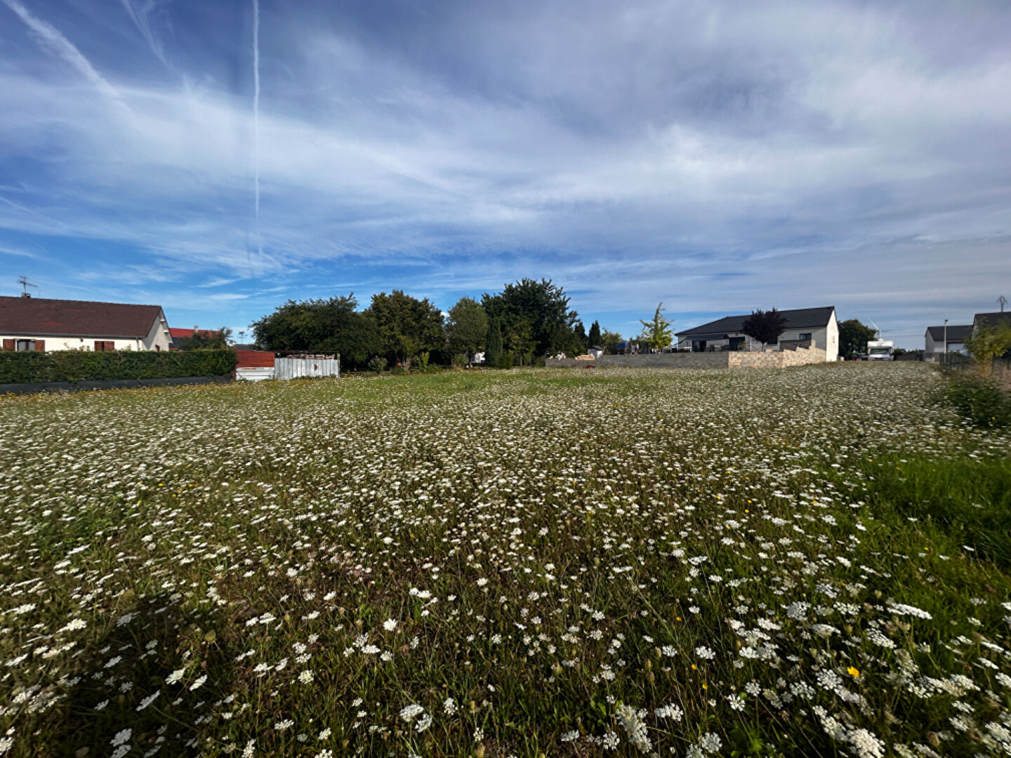Agence immobilière de L'ATELIER IMMO Reims - L'ATELIER IMMO