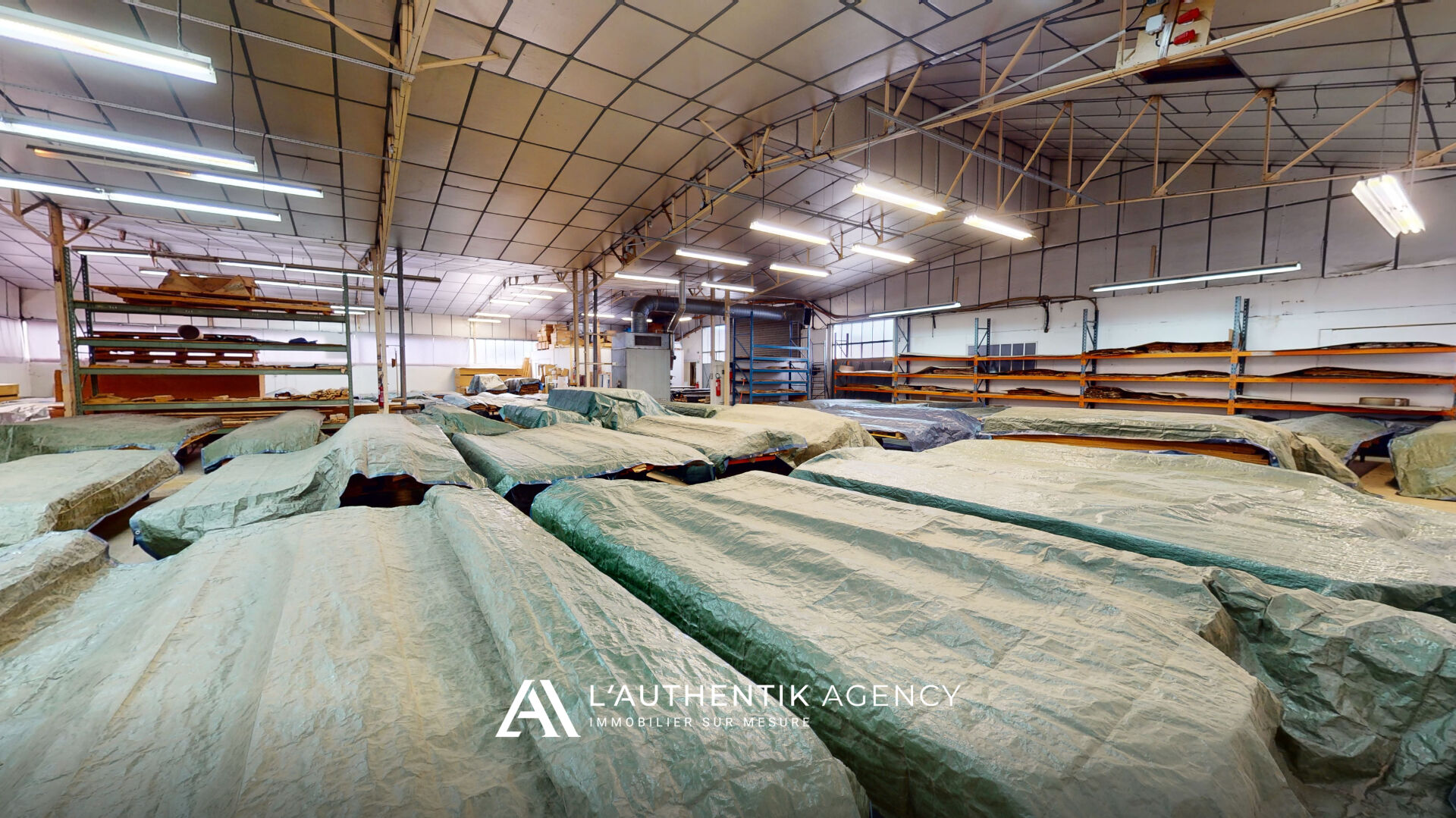 Photo Entrepôt / local industriel/ espace de vente Krautergersheim 977 m2 image 2/5