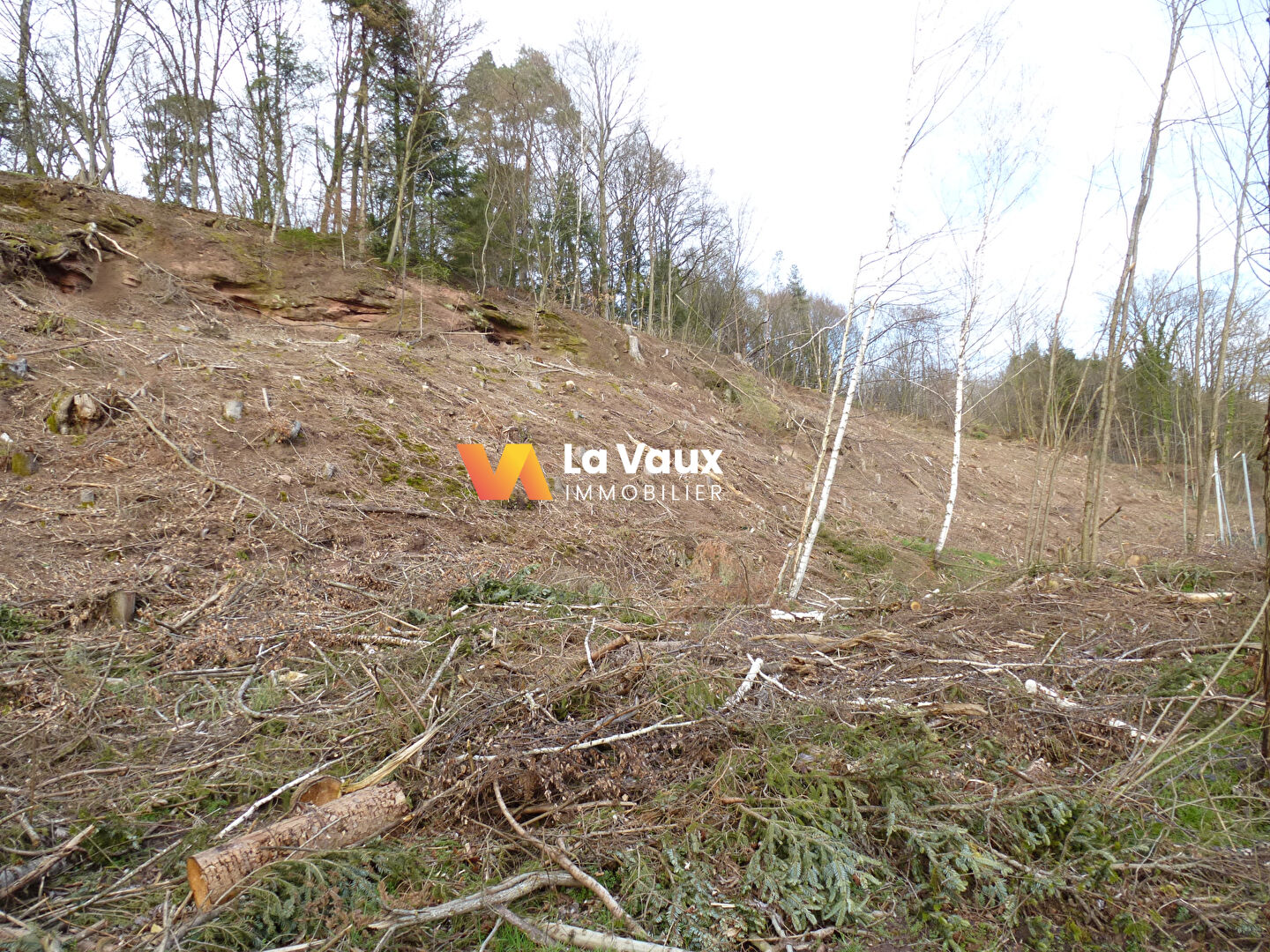 Photo RAON-L'ETAPE, terrain  6282 m2 image 2/6