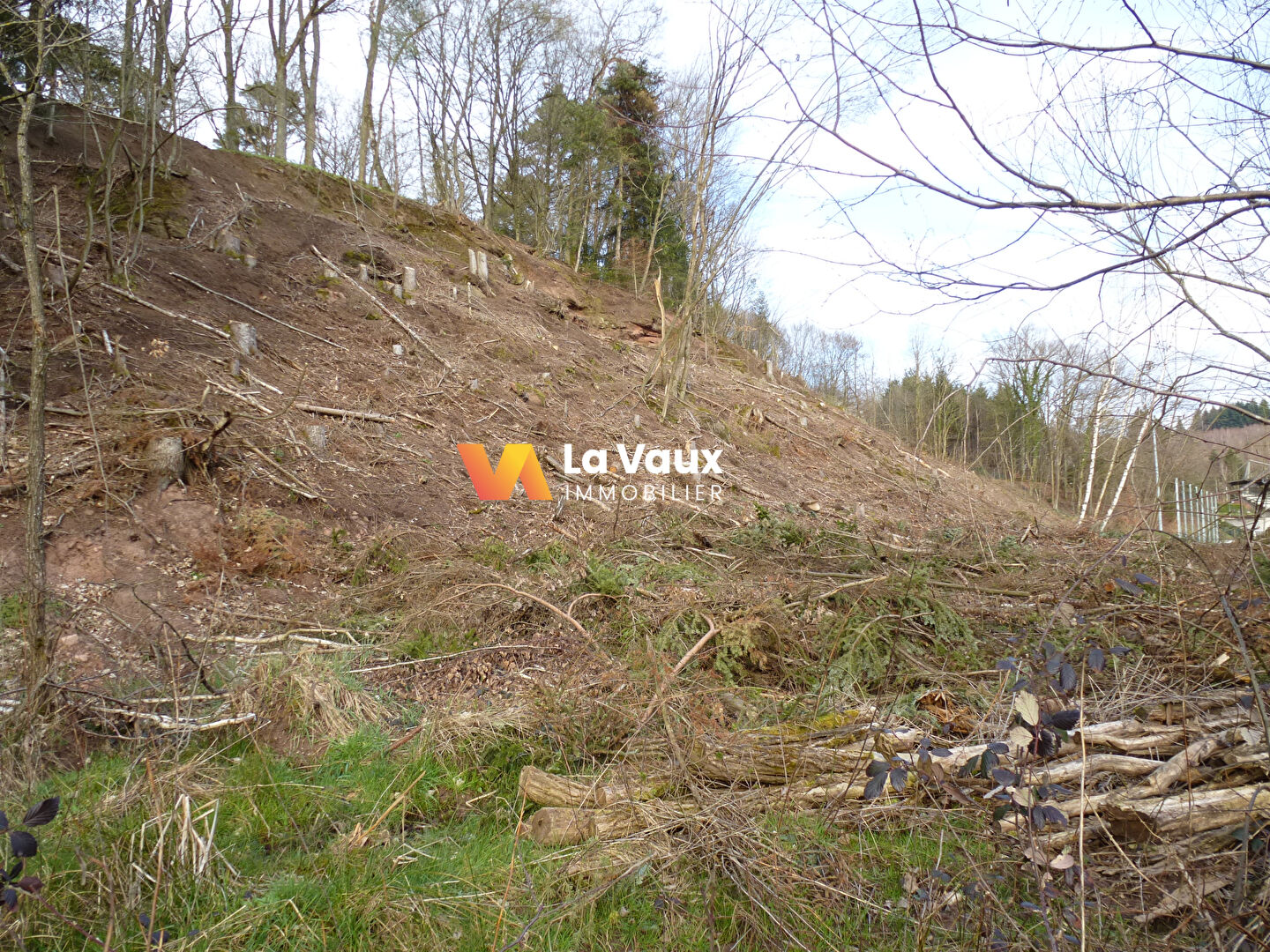 Photo RAON-L'ETAPE, terrain  6282 m2 image 3/6