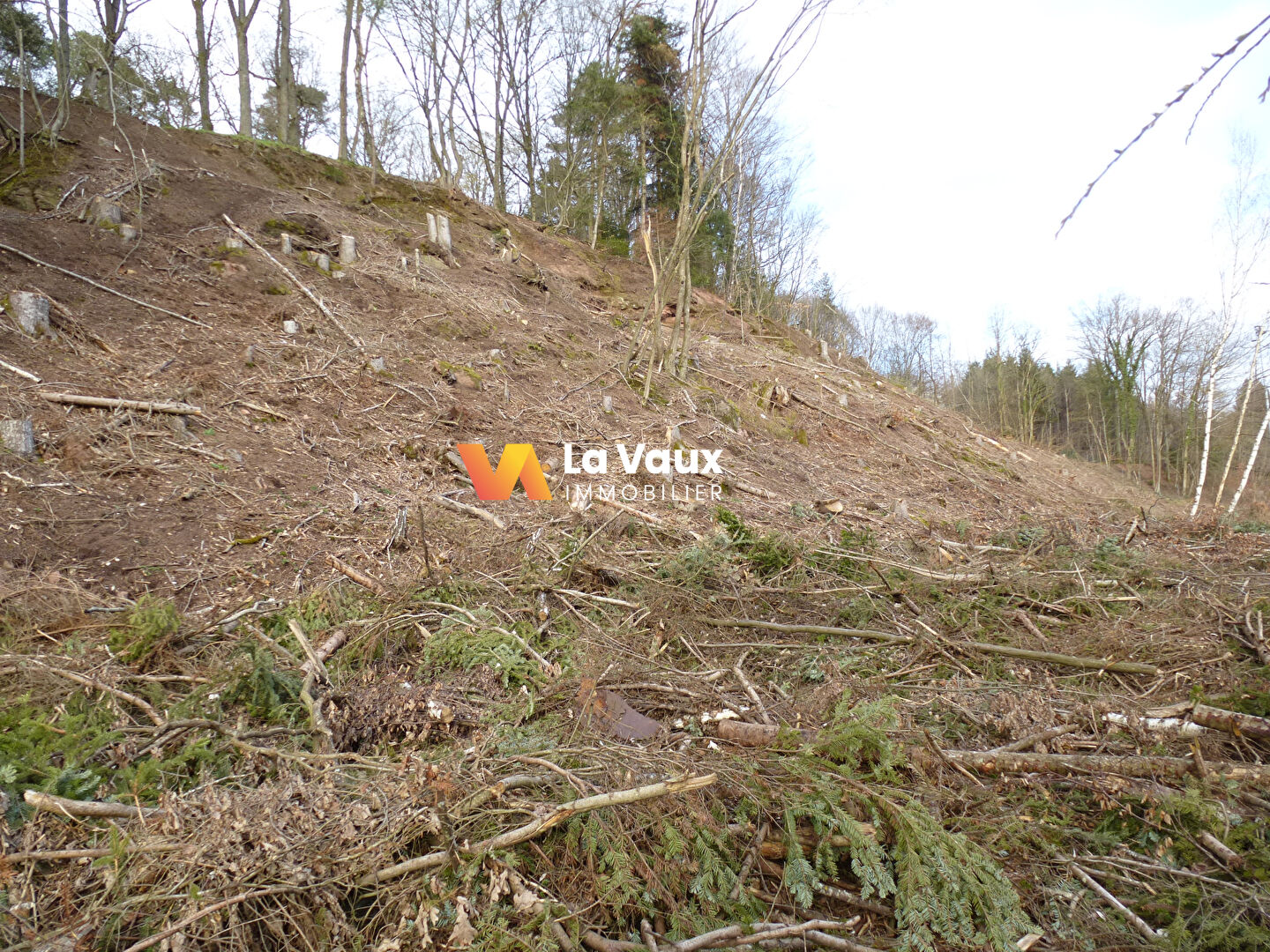 Photo RAON-L'ETAPE, terrain  6282 m2 image 4/6