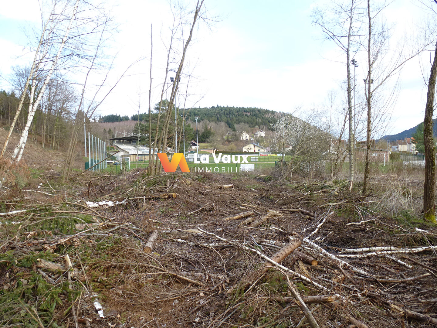 Photo RAON-L'ETAPE, terrain  6282 m2 image 5/6