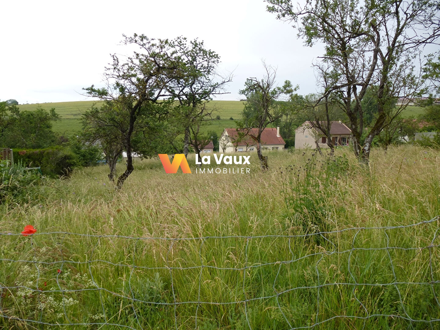 Photo PIERREVILLE, secteur PULLIGNY-XEUILLEY, à 20 mn de NANCY : terrain constructible 970 m² image 2/6