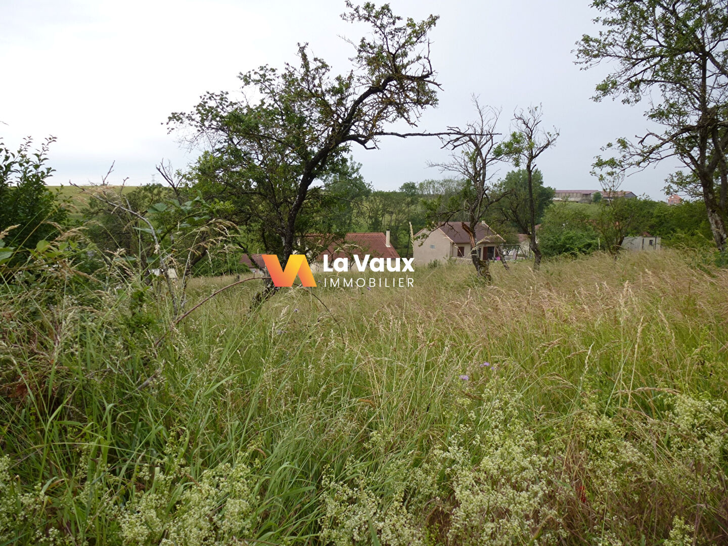 Photo PIERREVILLE, secteur PULLIGNY-XEUILLEY, à 20 mn de NANCY : terrain constructible 970 m² image 3/6