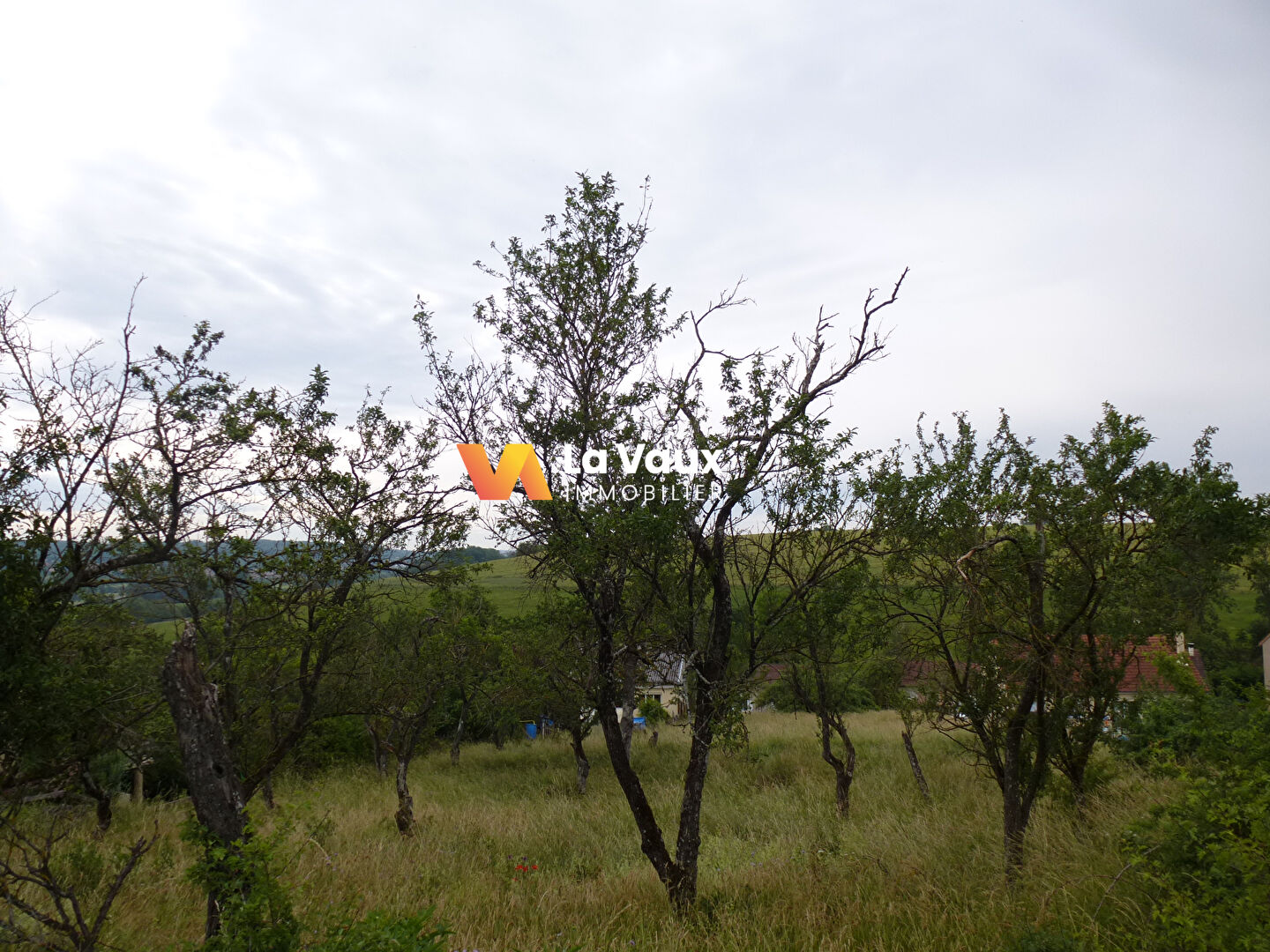 Photo PIERREVILLE, secteur PULLIGNY-XEUILLEY, à 20 mn de NANCY : terrain constructible 970 m² image 4/6