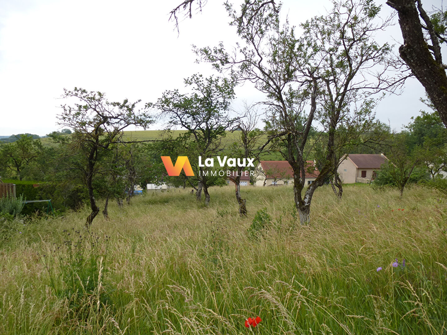 Photo PIERREVILLE, secteur PULLIGNY-XEUILLEY, à 20 mn de NANCY : terrain constructible 970 m² image 6/6