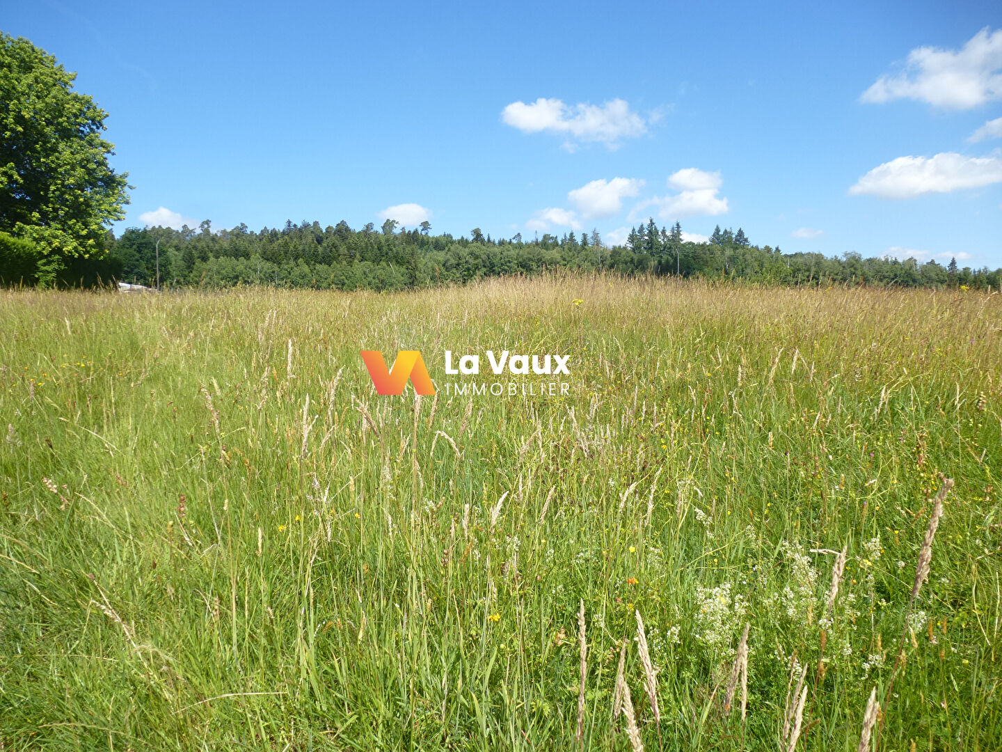 Photo LACHAPELLE : Terrain à bâtir  7501 m2 image 3/6