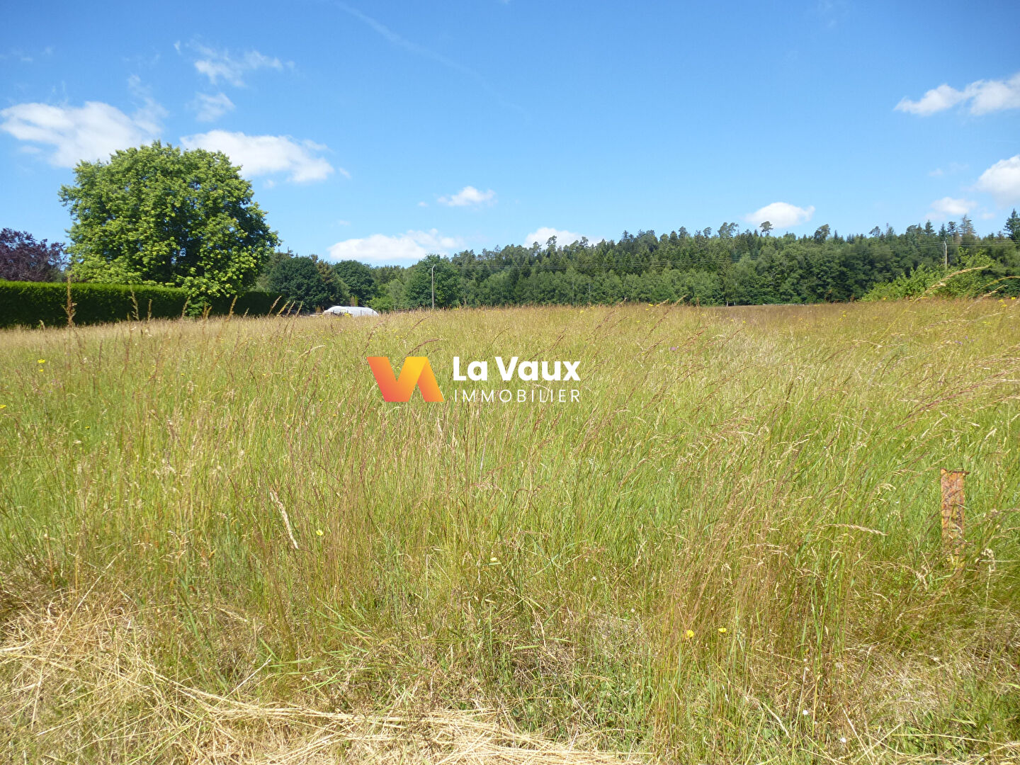 Photo LACHAPELLE : Terrain à bâtir  7501 m2 image 5/6