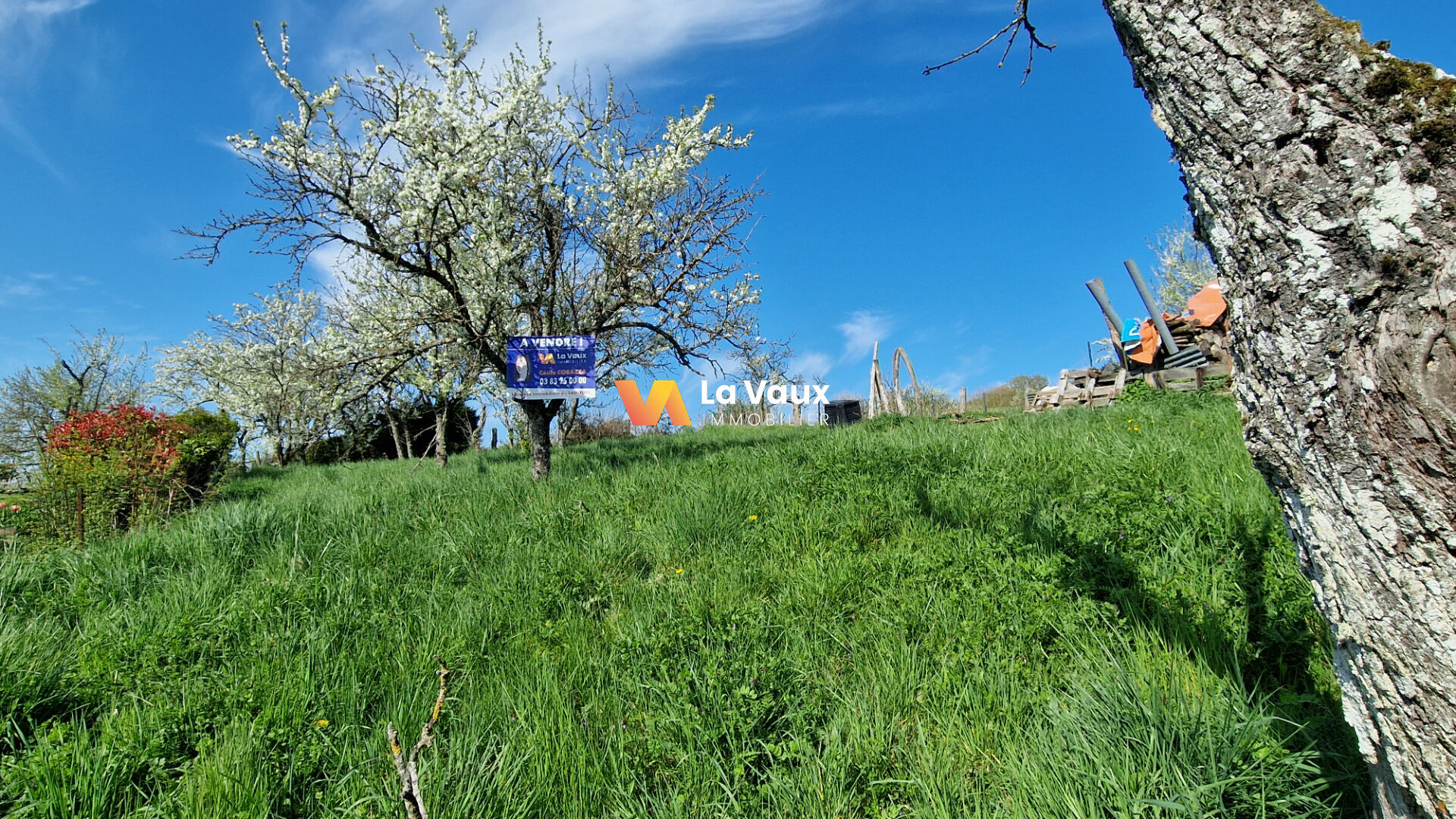 Photo Terrain à bâtir à Thélod image 2/3