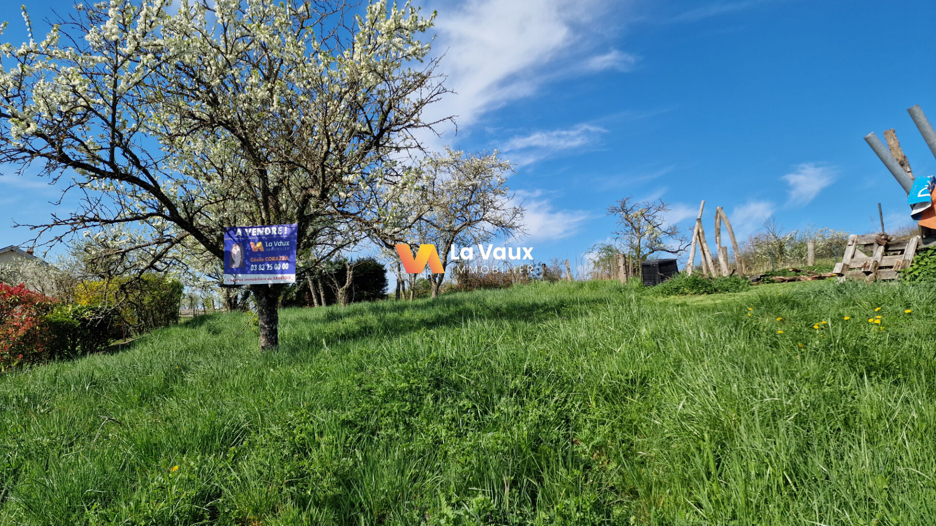 Photo Terrain à bâtir à Thélod image 3/3