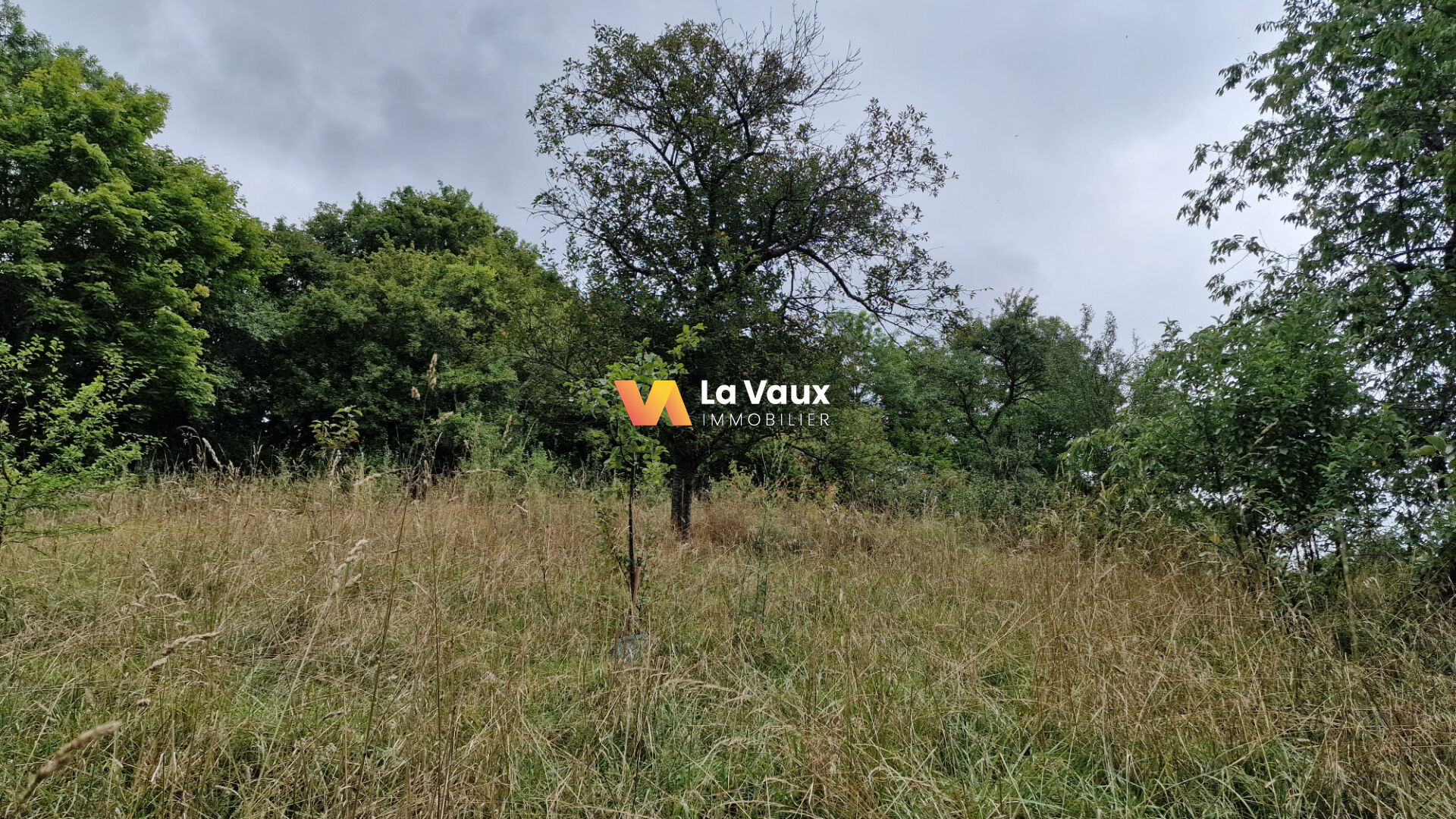 VENDU VERGER A VEZELISE