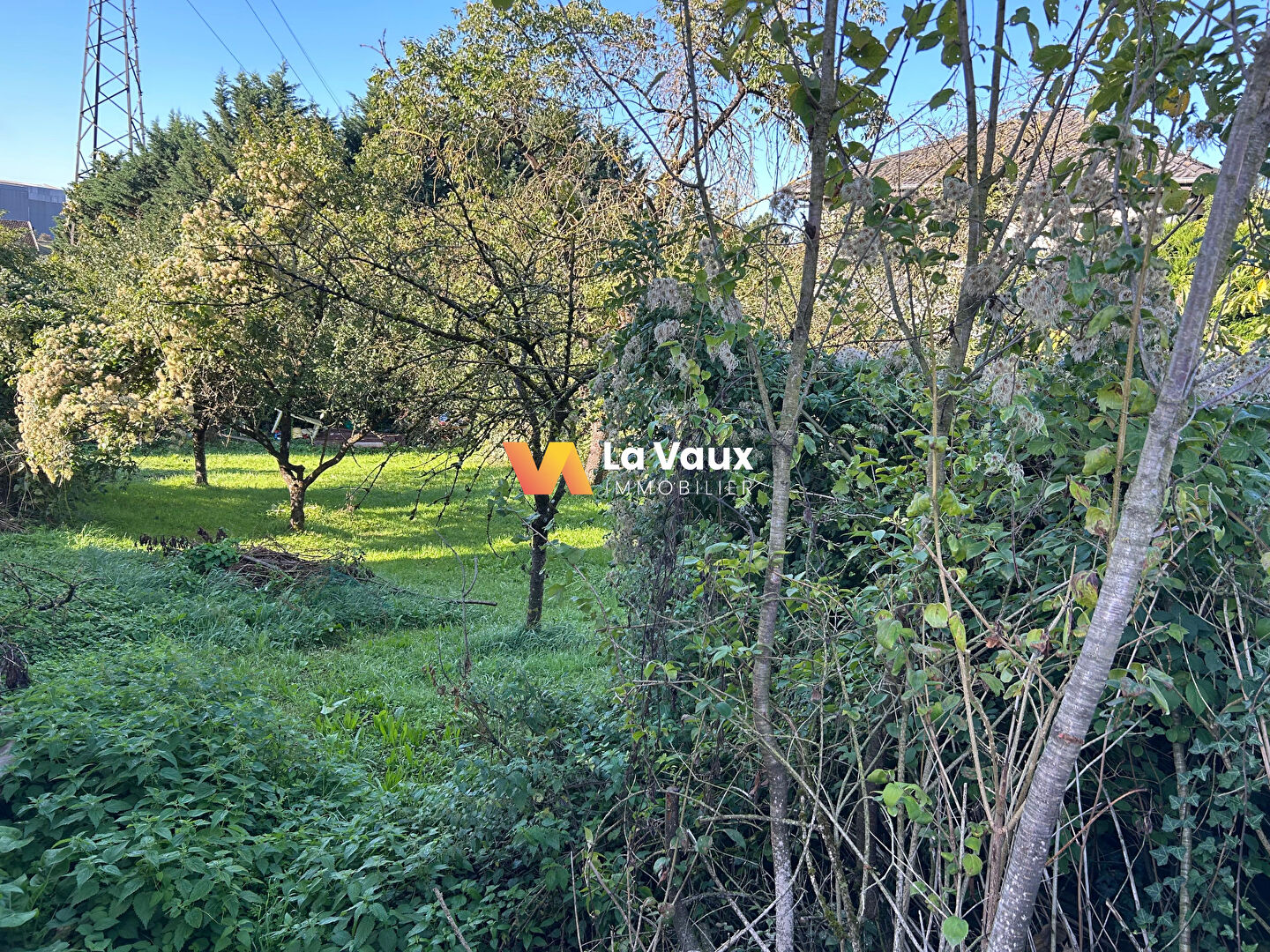 Photo Terrain 415 m² image 2/4