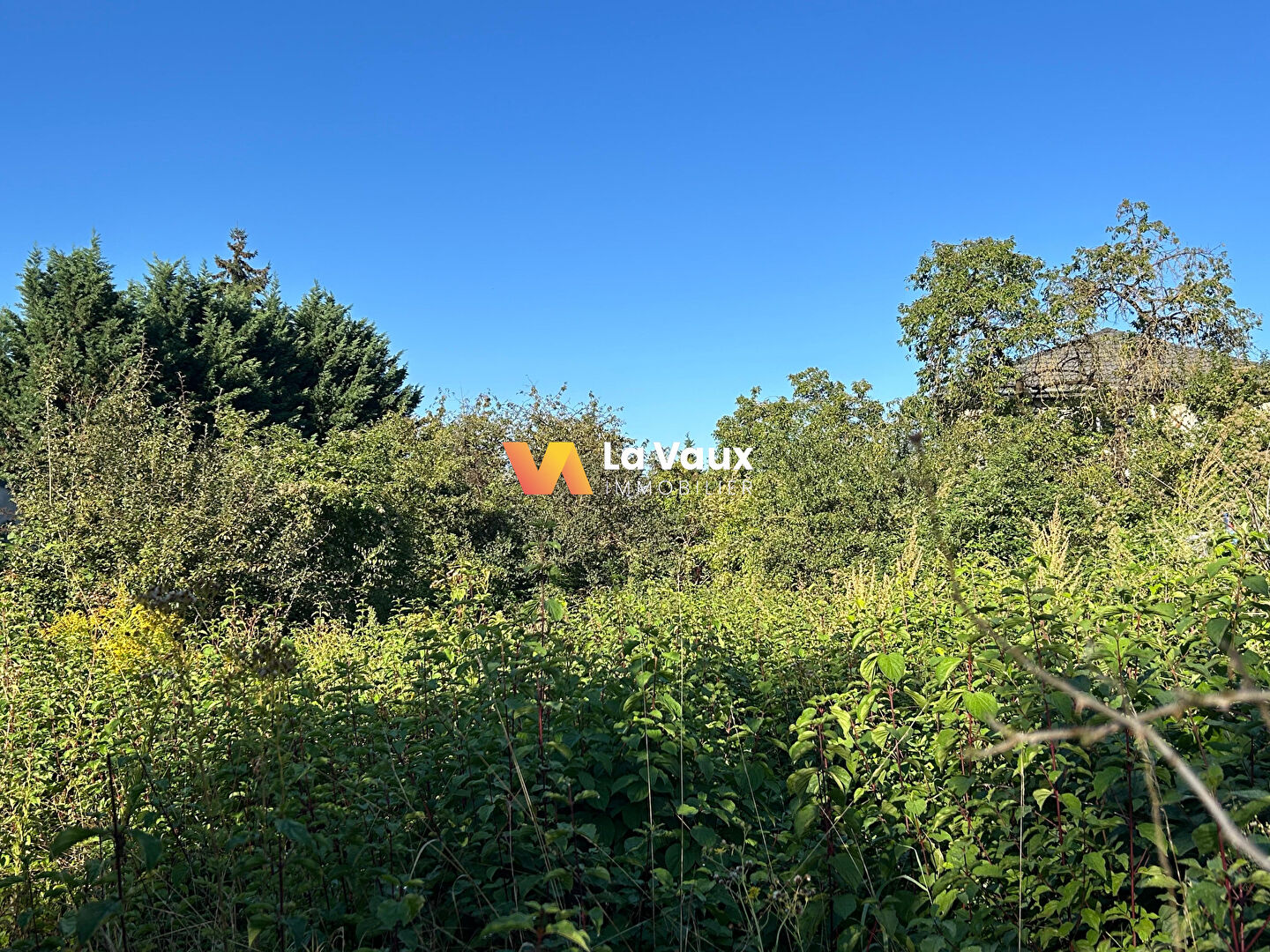 Photo Terrain 415 m² image 3/4