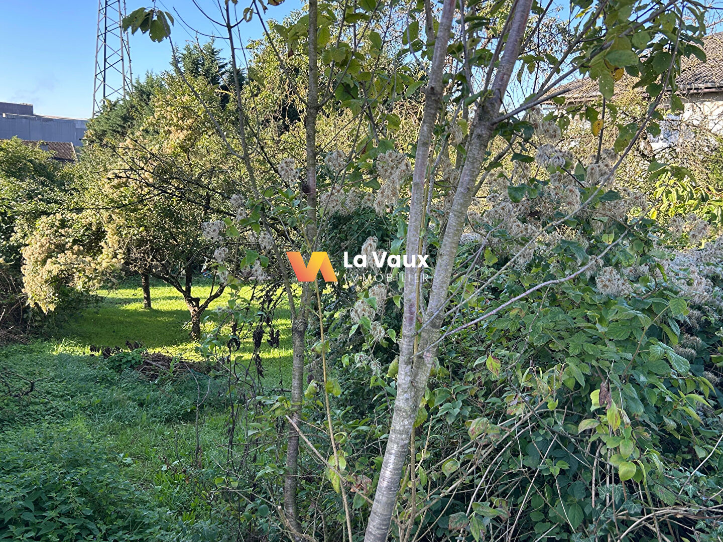 Photo Terrain 415 m² image 4/4