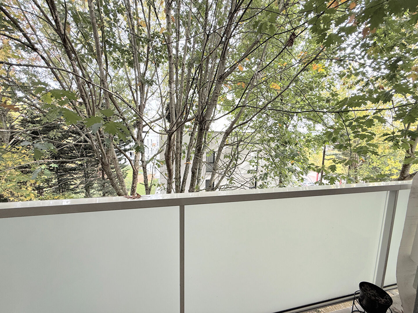 Photo Appartement 3 pièces 63 m2 - BAYONNE image 2/6