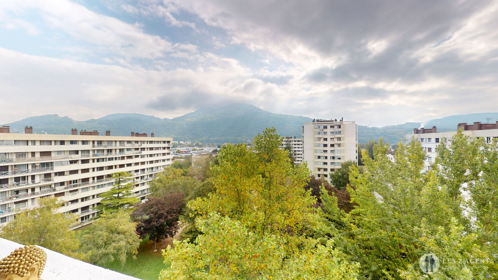 Appartement Saint Martin D'hères  3 pièce(s)