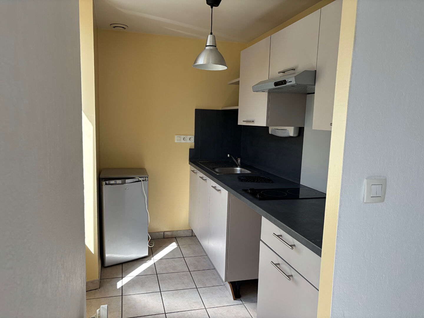 Agence immobilière de L'IMMOBILIER SOULETIN