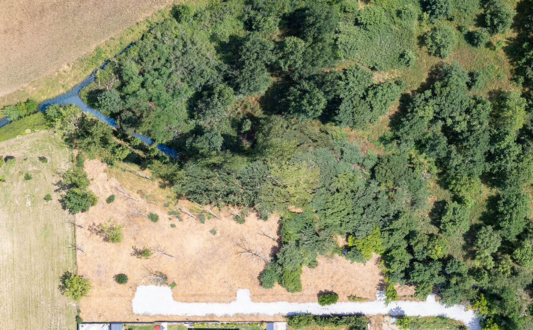 Agence immobilière de L'immobilier Toulousain Villeneuve tolosane