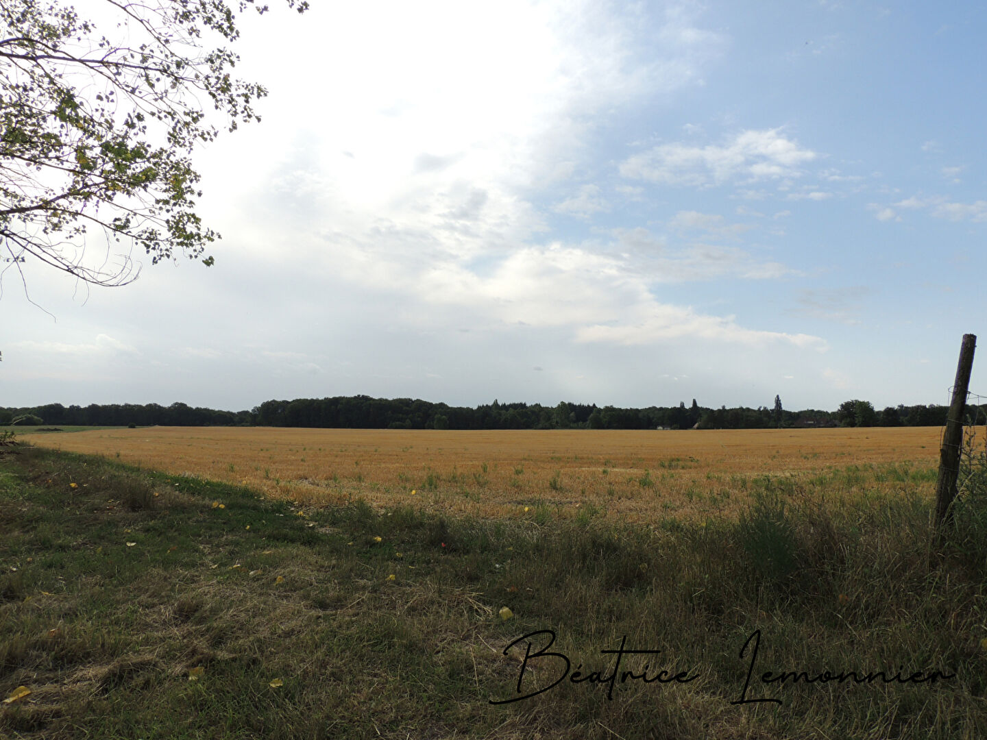 Photo Terrain Vrigny image 4/4