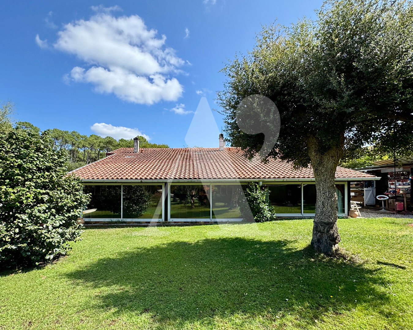 Photo Architecture landaise - 1962 - Lac et plages à pied image 1/6