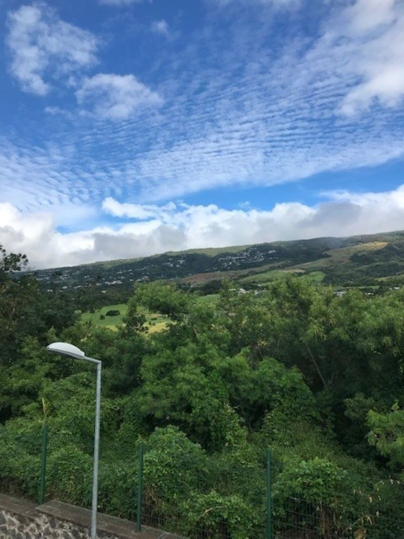 À louer ? T3 spacieux à Domenjod / La Bretagne