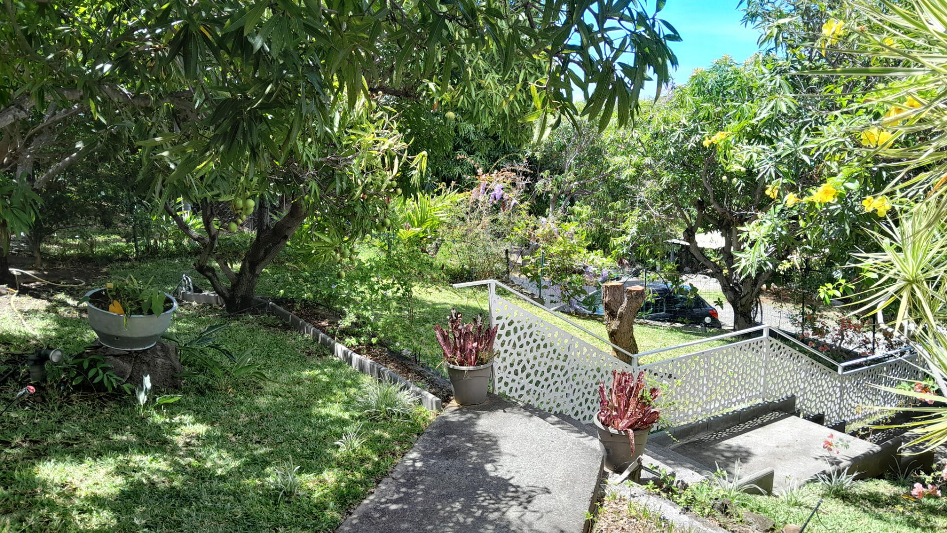 Saint Gilles les Bains- T3 avec beau jardin