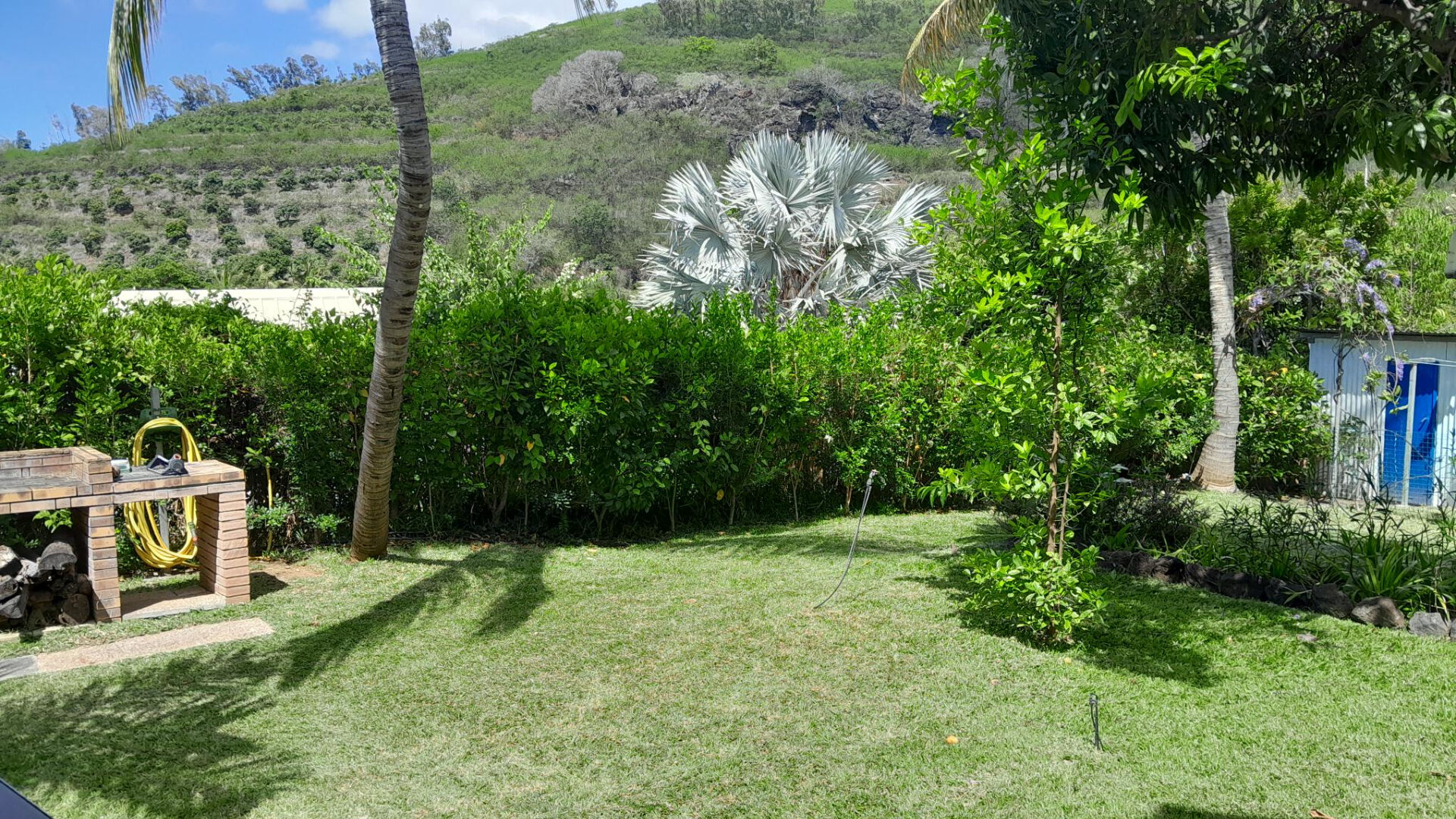 Saint Gilles les Bains - T2 meublé et grand jardin arboré