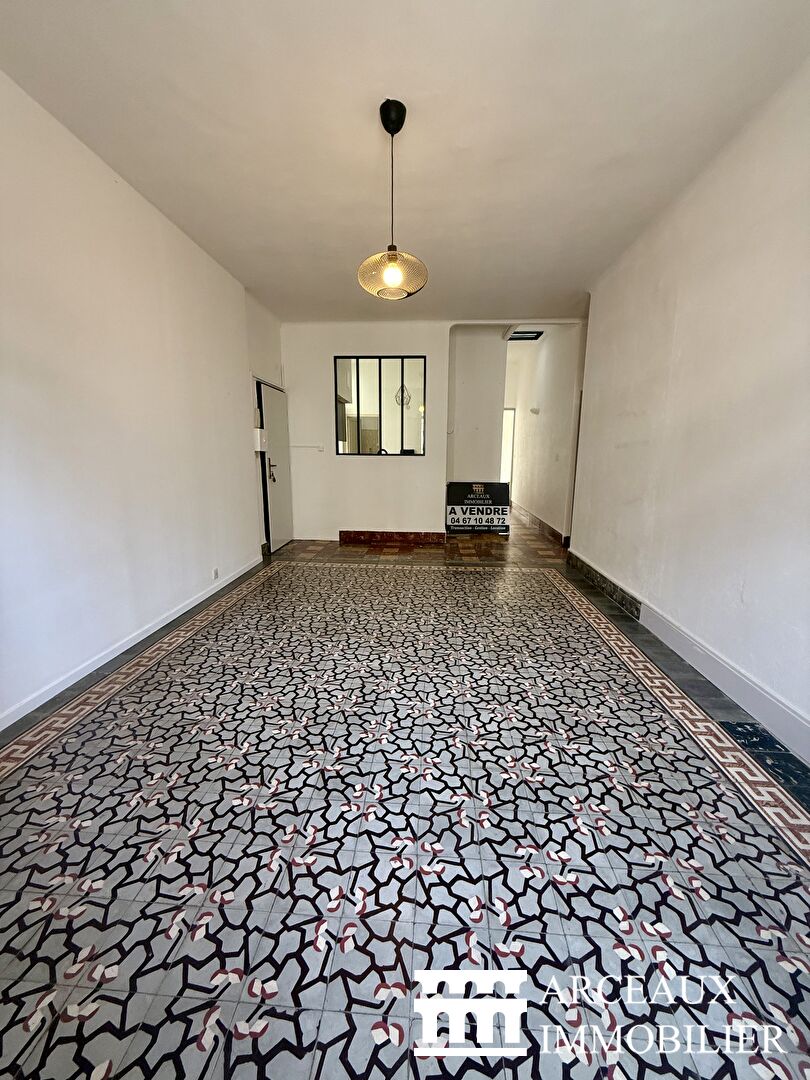 Montpellier Saint Charles - Jardin des plantes. Appartement T4