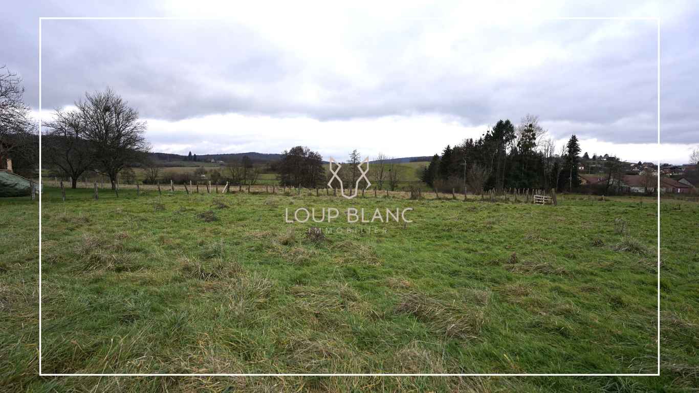 Photo Terrain 7 ares image 2/4