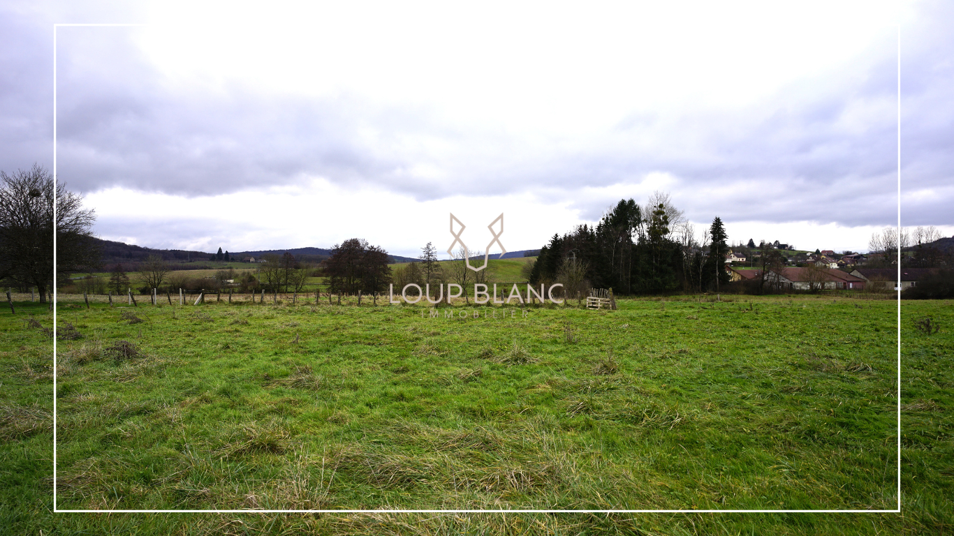 Photo Terrain 7 ares image 3/4