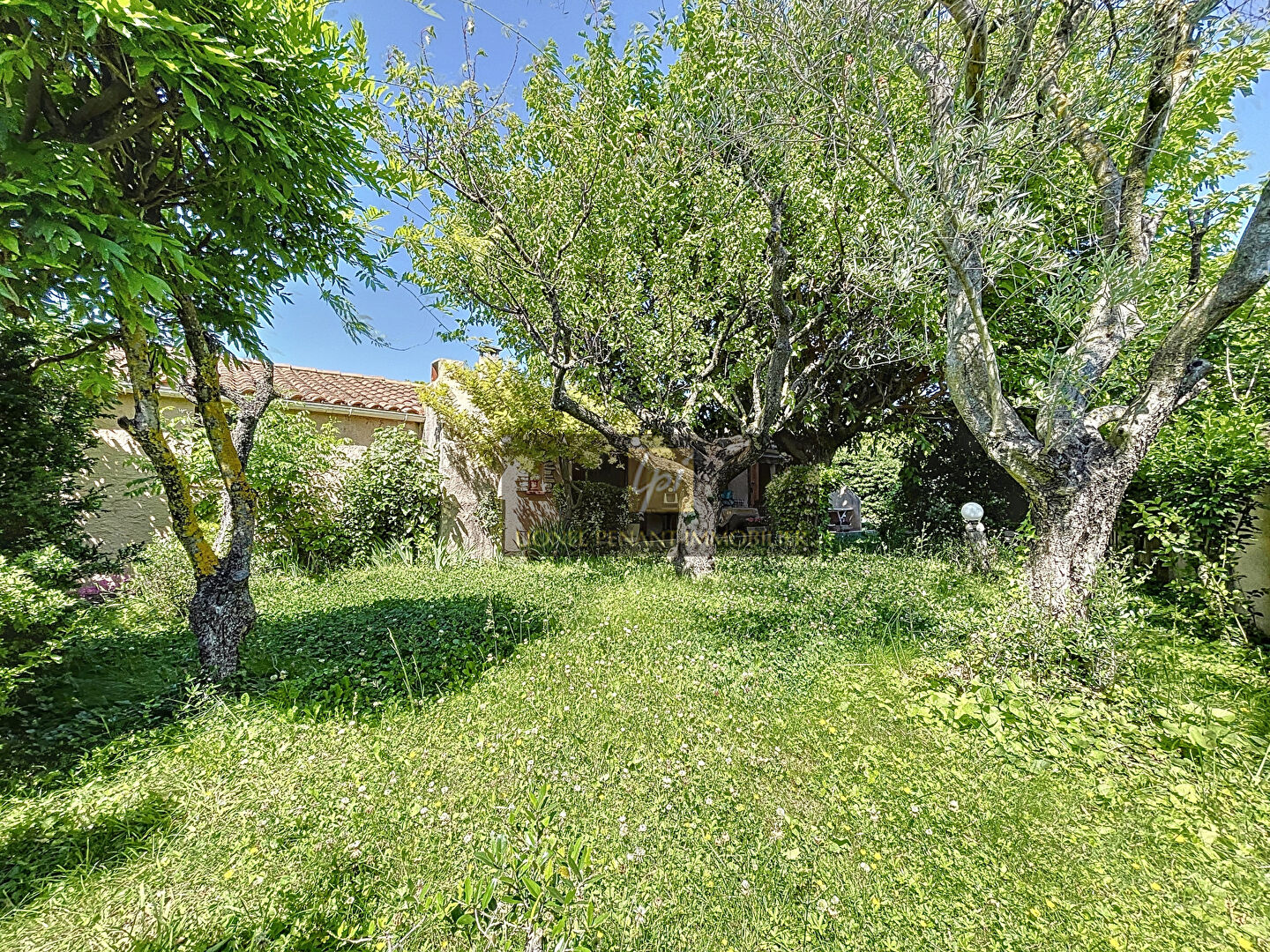 Agence immobilière de LPI - Lionel Penant Immobilier