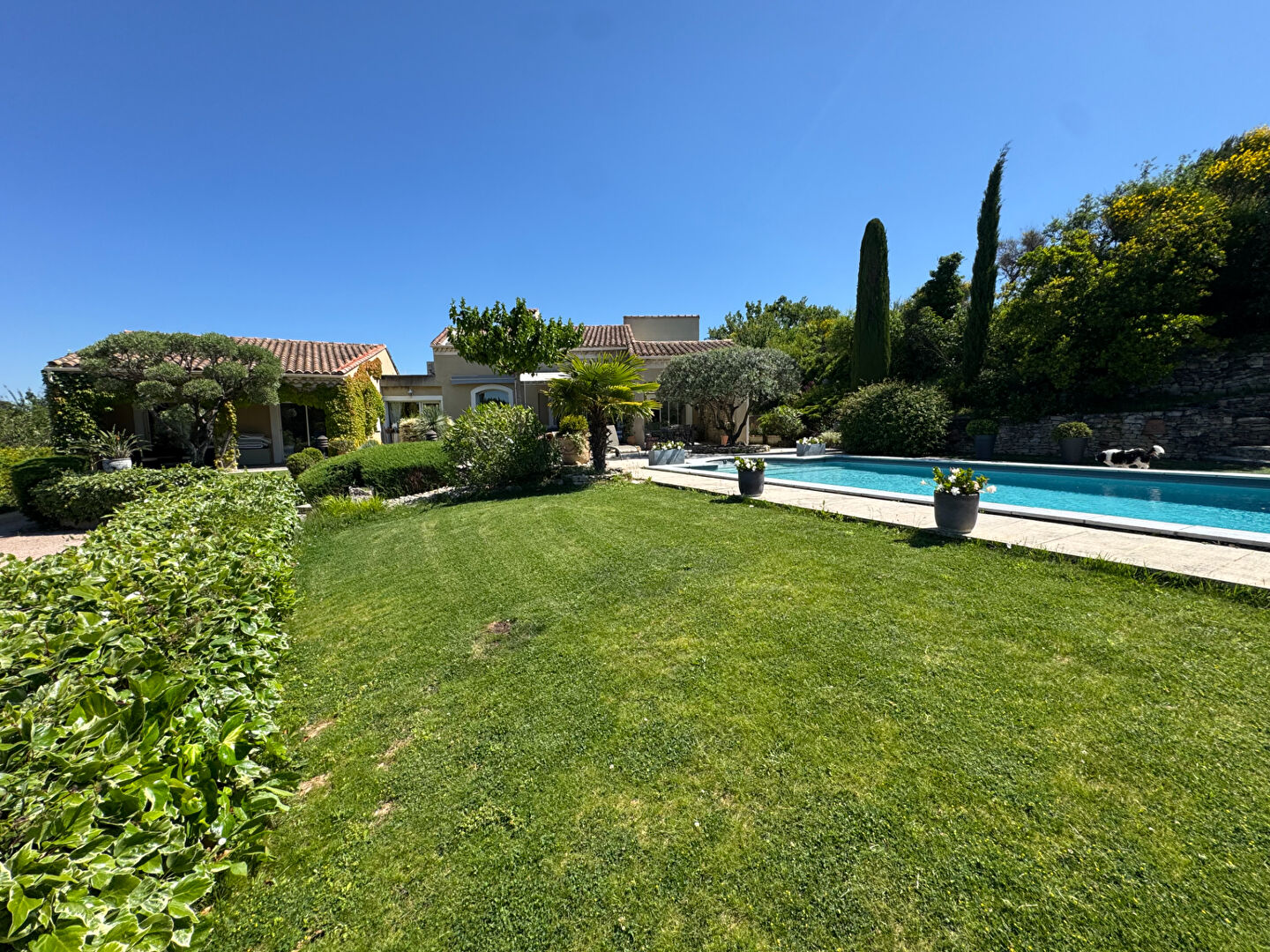 Agence immobilière de LPI - Lionel Penant Immobilier