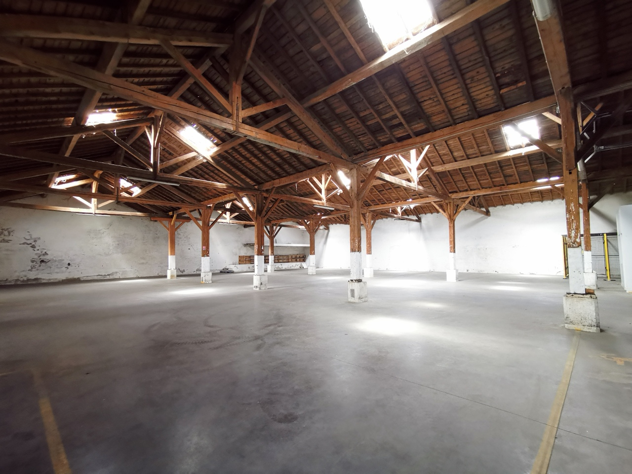 Local d'activités 780m2