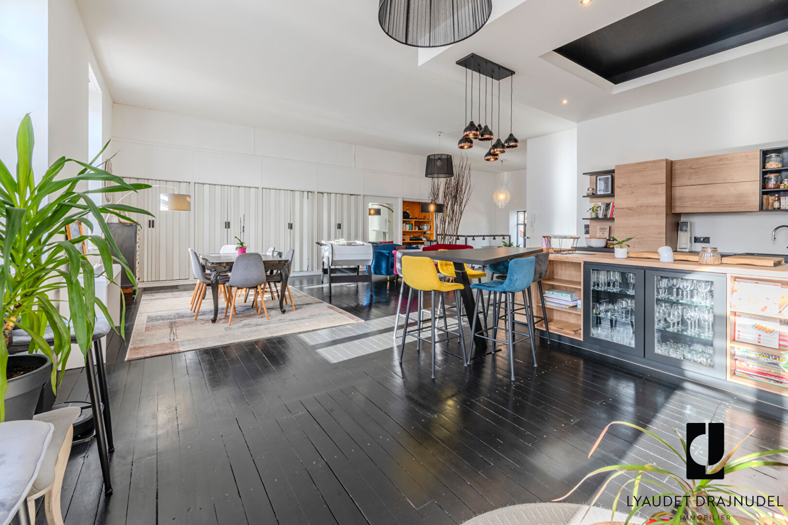 Photo APPARTEMENT TYPE LOFT - CENTRE-VILLE DE ROANNE - GARAGE + REMISE image 5/6