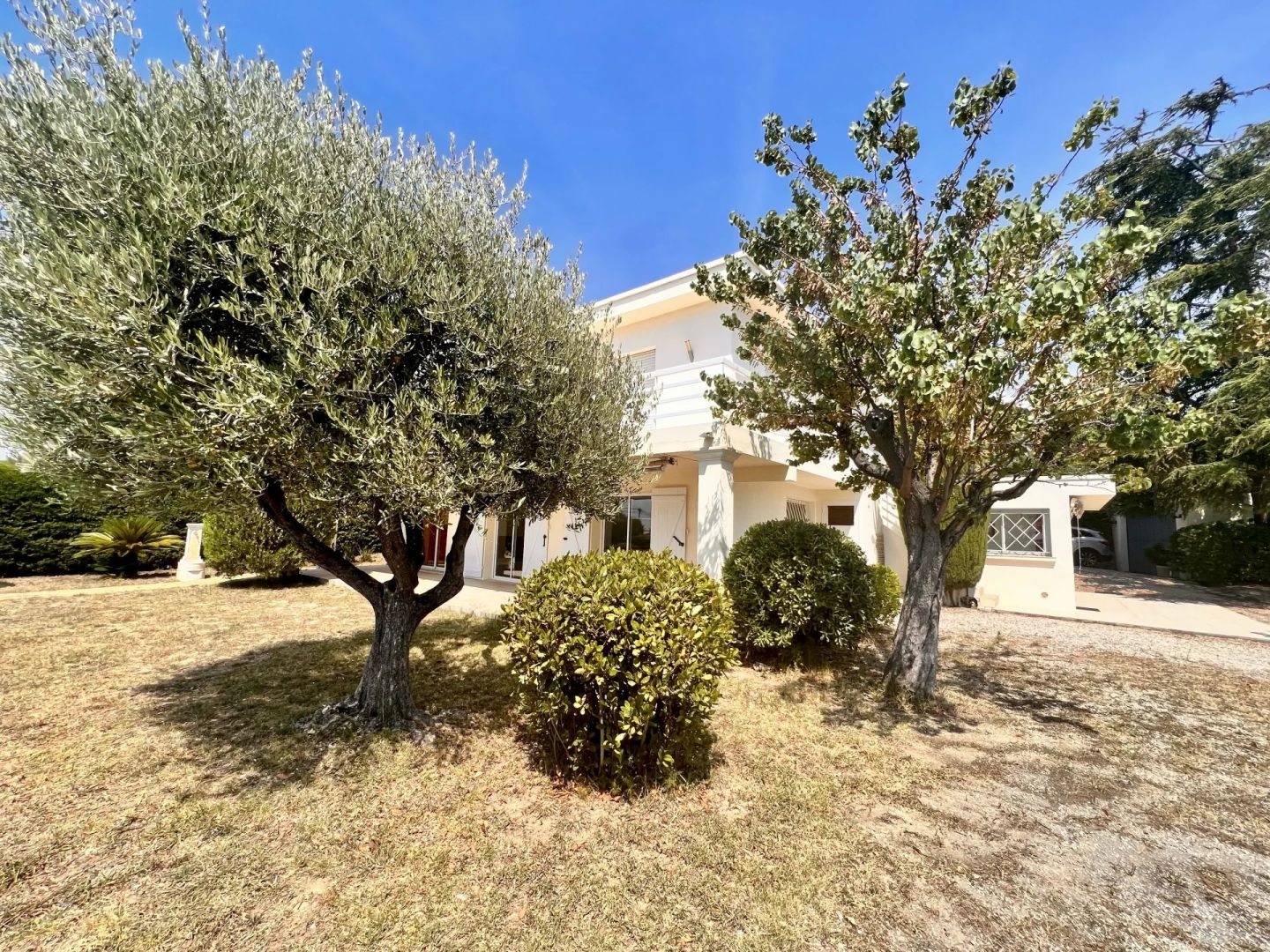 Photo CAGNES SUR MER - VILLA VUE MER GRAND TERRAIN image 6/6