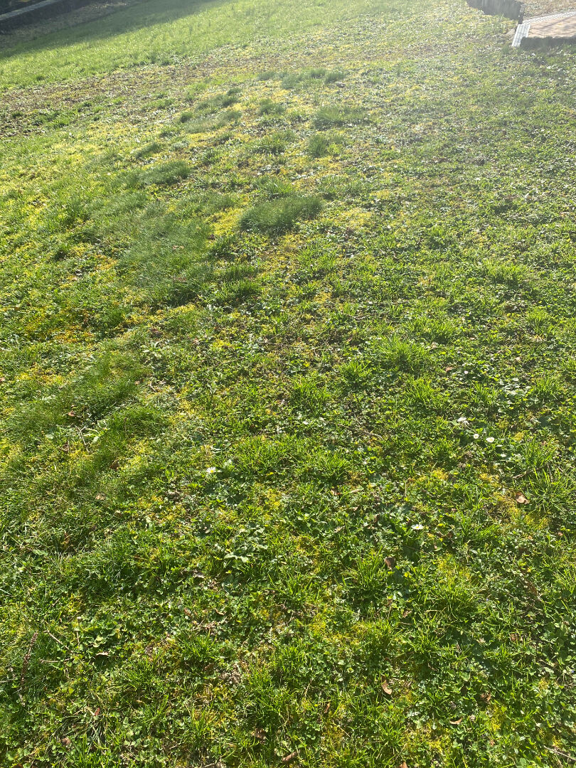 Photo Oingt : Terrain constructible de 1663 m²  hors lotissement. image 1/1