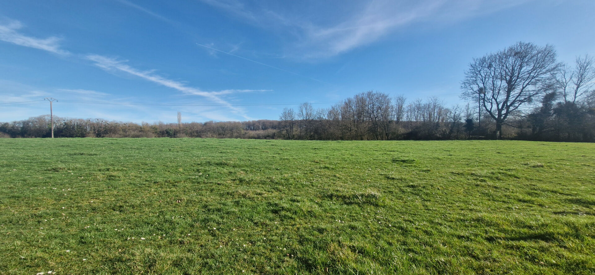 Terrain plat constructible 6697,77m2
