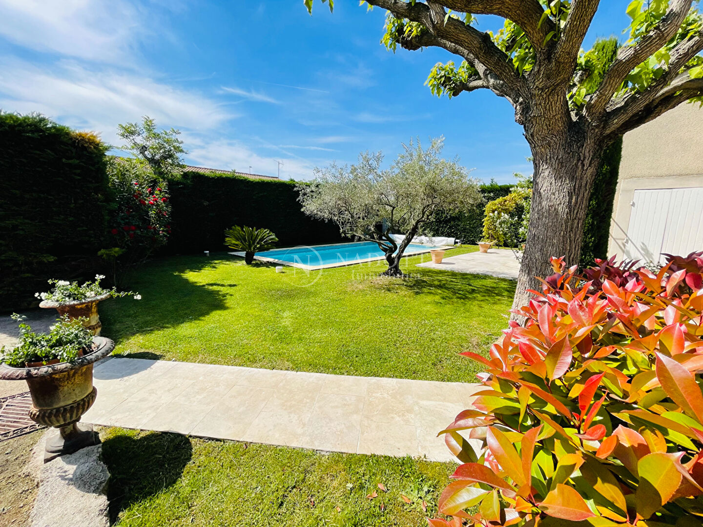 Photo Maison de plain pied  à CAVAILLON image 6/6