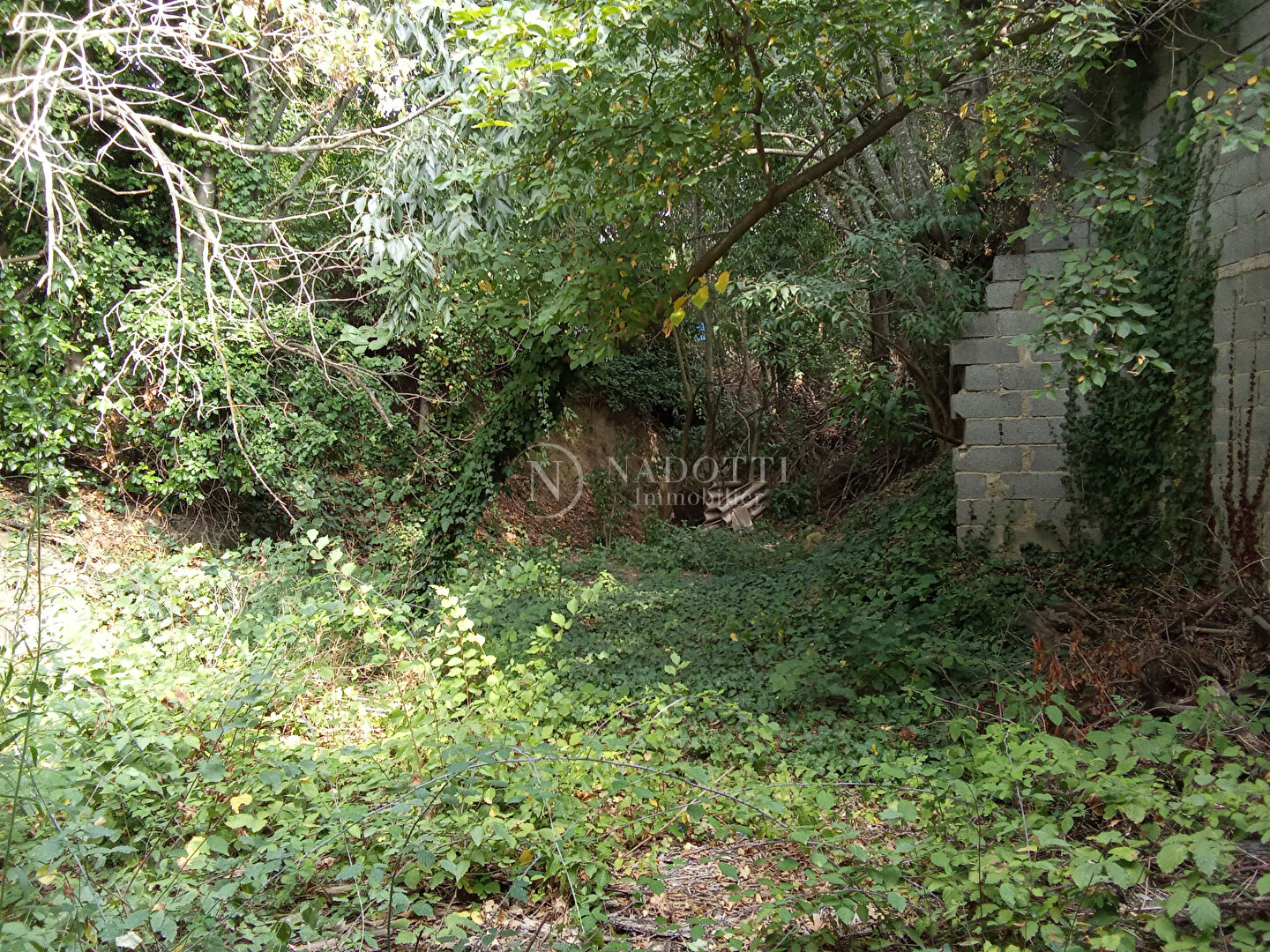 Photo CADENET CENTRE - Deux locaux commerciaux avec jardin image 6/6