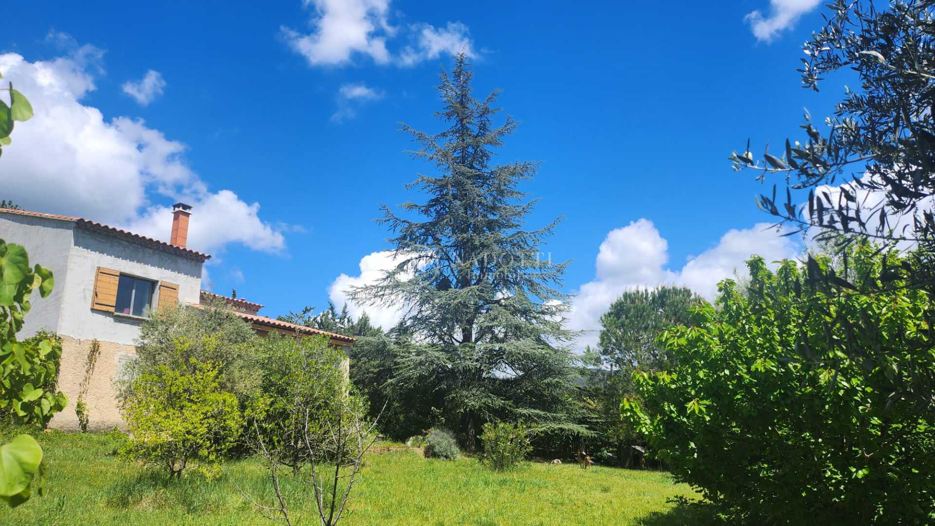 Villa 190 m² sur les hauteurs de Bédoin, 4 chambres sur 4000 m² clos.