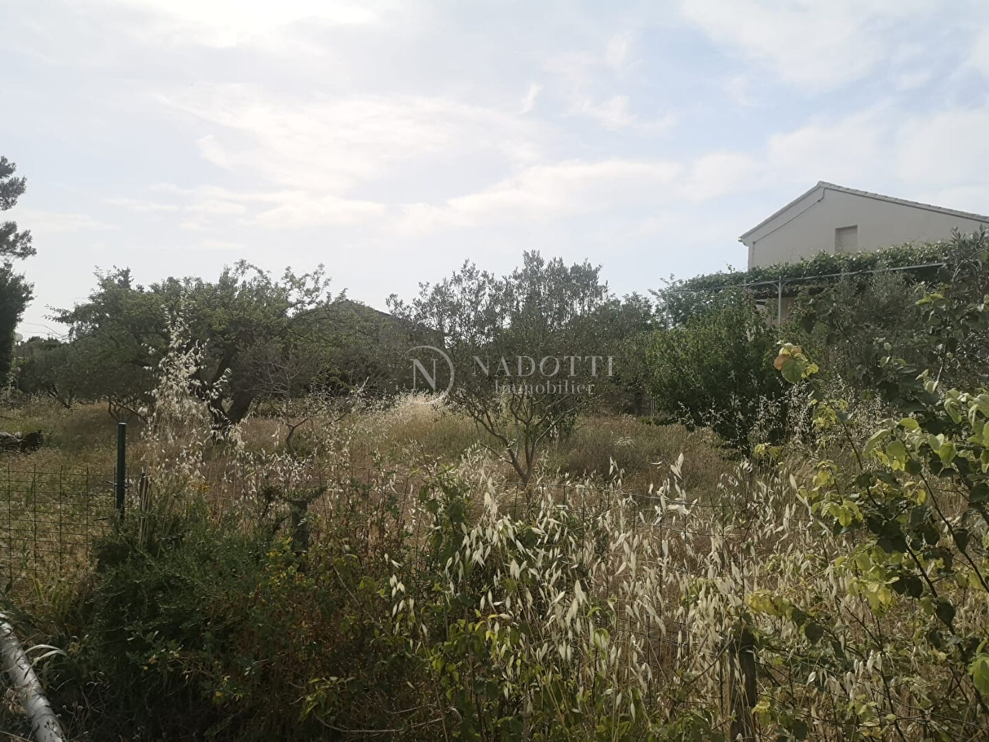 Photo Terrain Mazan 650 m2 campagne non isolé image 3/4