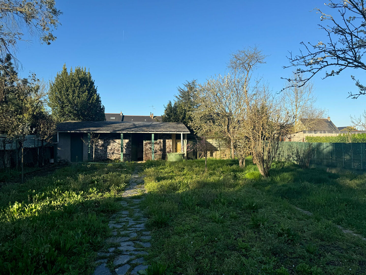 Agence immobilière de NEGO for you